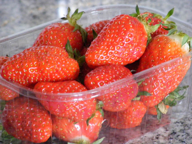 Gariguette strawberries. Indre et Loire. France. Photo by Loire Valley Time Travel.