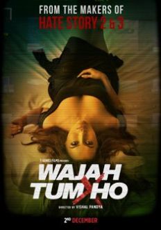 Wajah Tum Ho (2016) full Movie Download