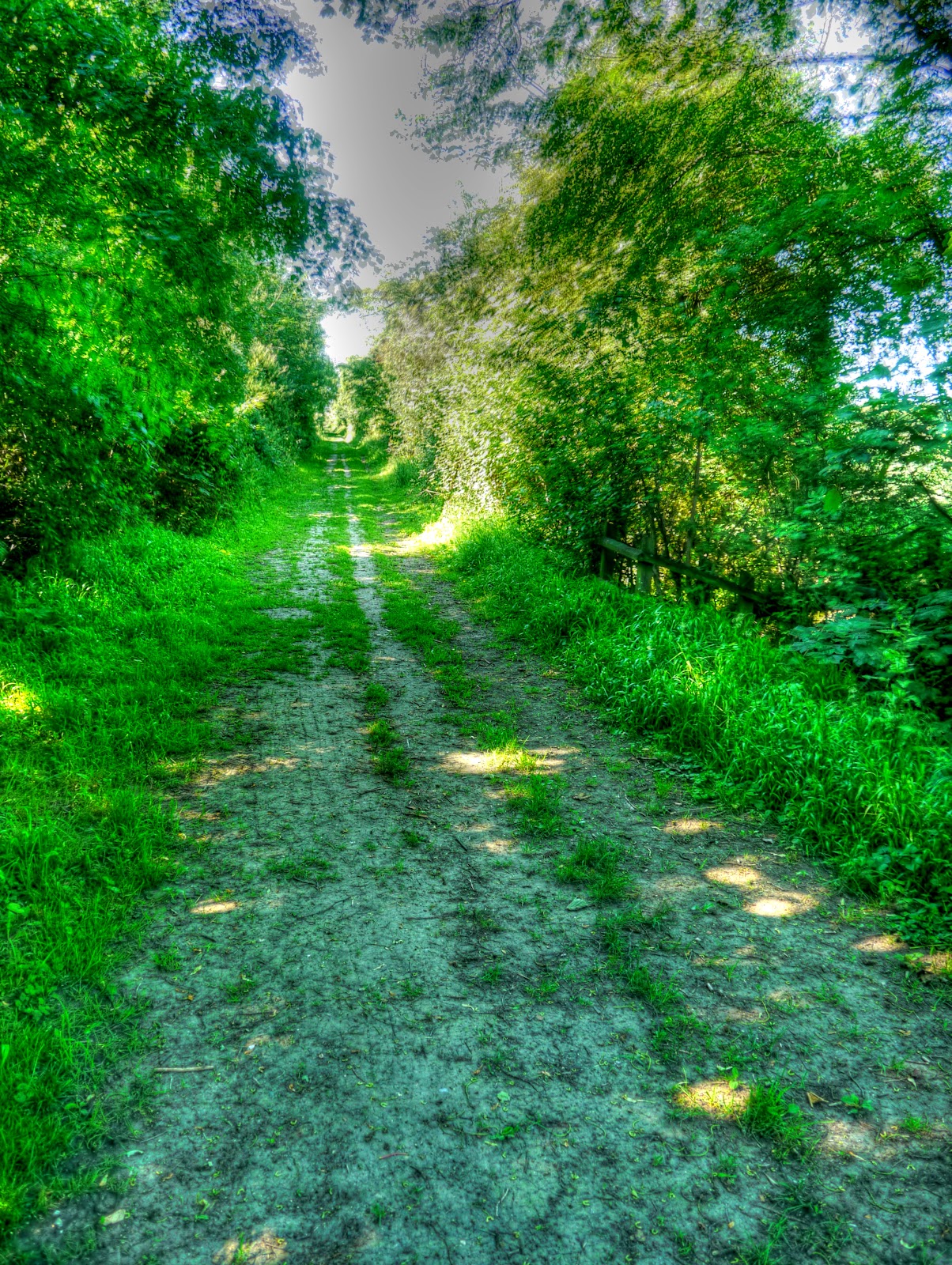 P1120503_1_2_tonemapped.JPG