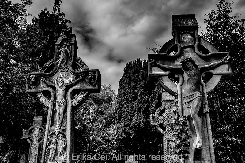 Glasnevil cemetery Ireland Dublin