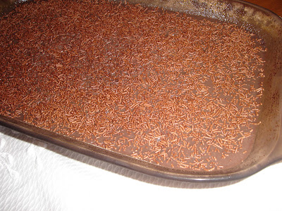 torta chcolate licuadora