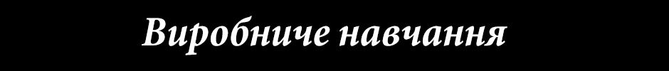 Виробниче навчання