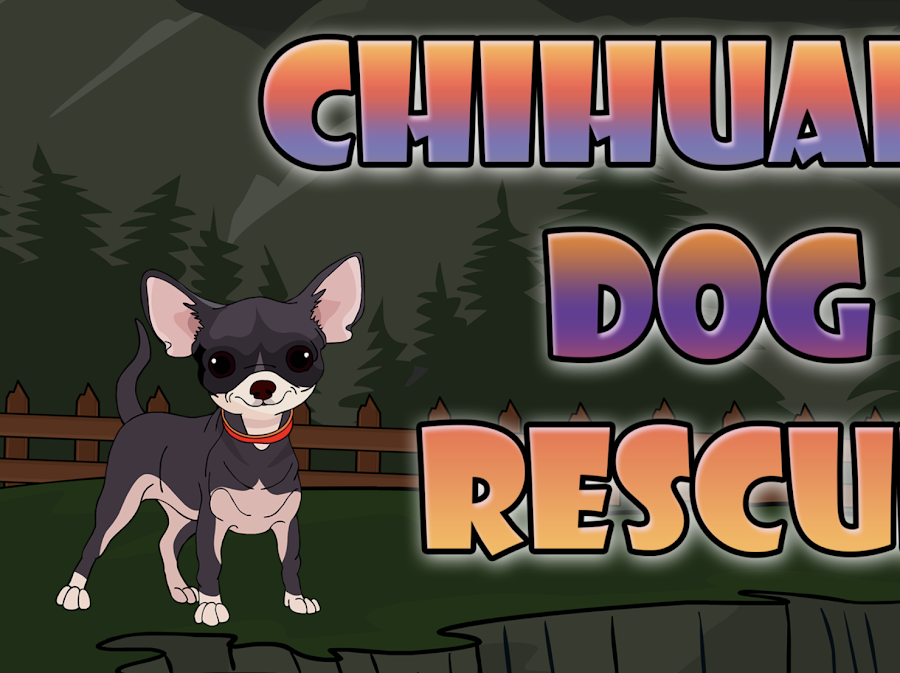 Jugar Chihuahua Dog Rescue