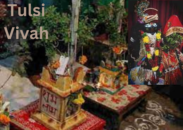 Tulsi Vivah