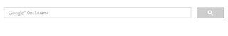 siteniz için google arama kutusu oluturma