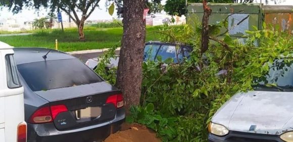 Galhos de árvore cai em cima de carros estacionados em S.A. de Jesus