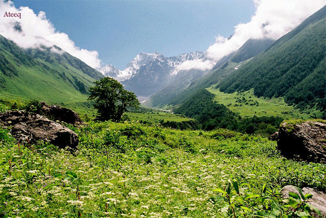 Valley of Flowers - Uttarakhand