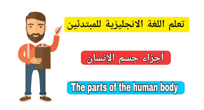 اجزاء الجسم الانسان باللغة الانجليزية The parts of the human body in English