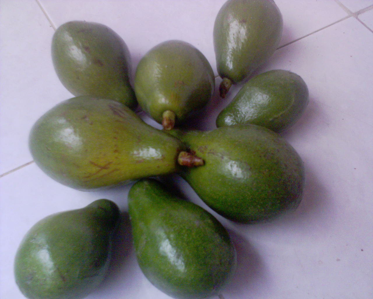  BUAH  BUAHAN  SUKANEGERI