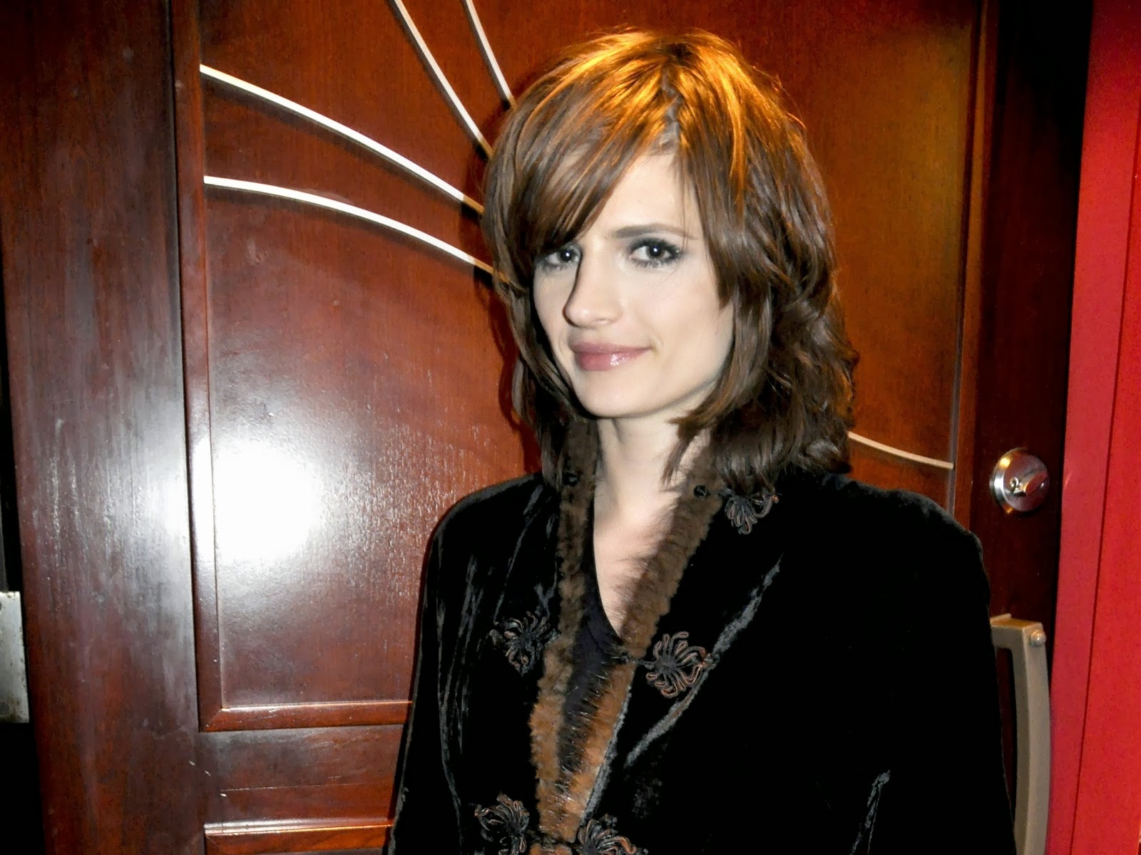 Stana Katic Hyper Star Hd Wallpapers