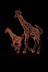 giraffe