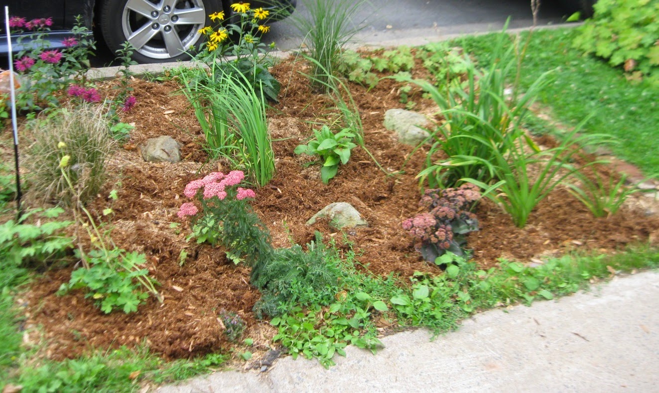 Stormwater Central: Rain Garden: Build Your Own in 3 hours!