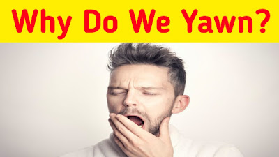 Why do we yawn