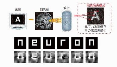 Учёные научились извлекать изображения прямо из мозга человека