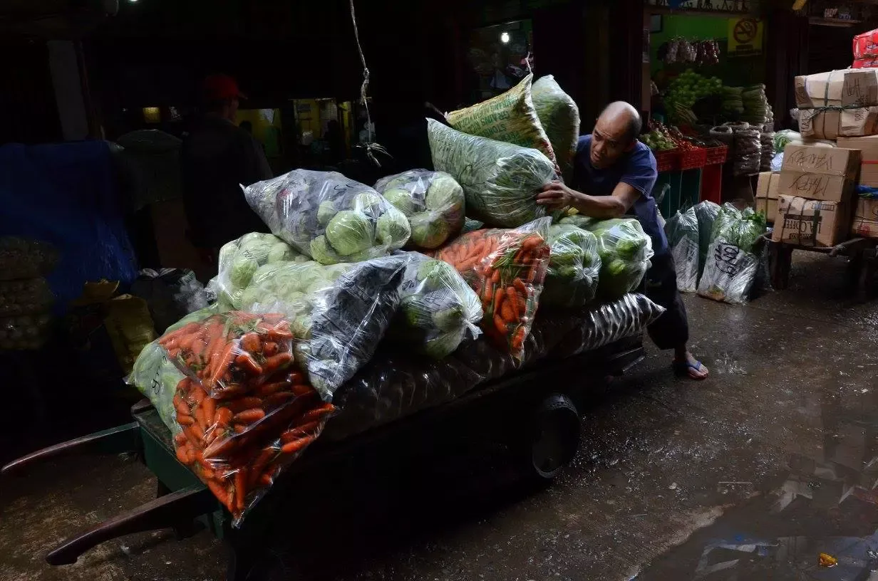 Porter Vegetable Produce Baguio City Public Market Cordillera Administrative Region Philippines