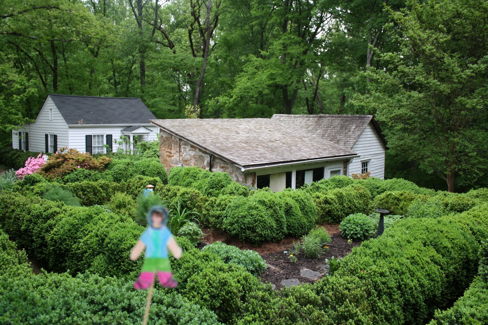 Landscaping Roswell Ga