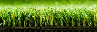 synthetic turf