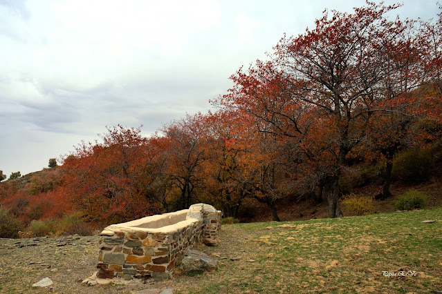 Tentadero, Dehesa del Camarate, Bosque encantado de Lugros