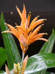 P3180096