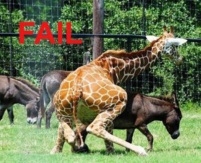 Funniest Epic Fail Pictures