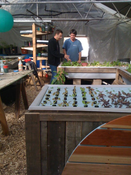 Ozzies' Aquaponics Digest: 2010