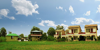 Explore the Wildlife of Madhya Pradesh with V Resorts