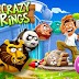 Download Game Crazy Rings for PC   