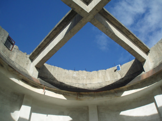 The roof