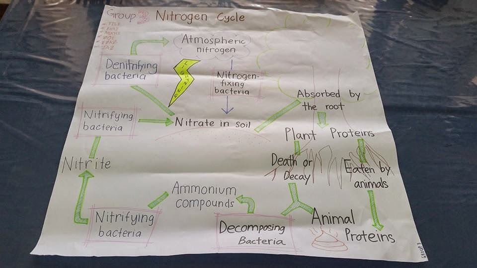 Idea P&P Sains : Kitar Nitrogen 2 ~ CiKGUHAiLMi