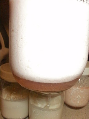 kefir whey