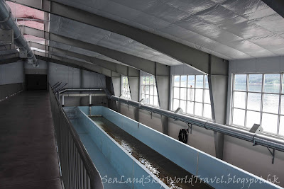 Juneau Macaulay Salmon Hatchery, 朱諾三文魚場