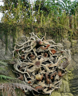 Cloud Forest o Bosque Nuboso. Gardens by the Bay o Jardines de la Bahía, Singapur o Singapore.