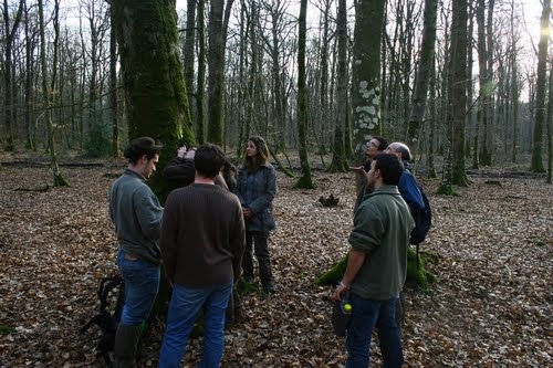 Gestion des espaces naturels - SÃ©es