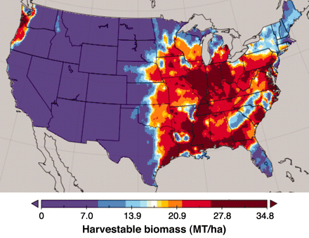 Planet Earth Was Made For Biomass Image