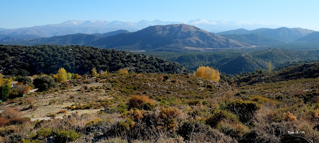 Prado Negro, Sierra Arana