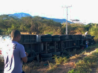 Carreta tomba após motorista desviar de animais na rodovia 