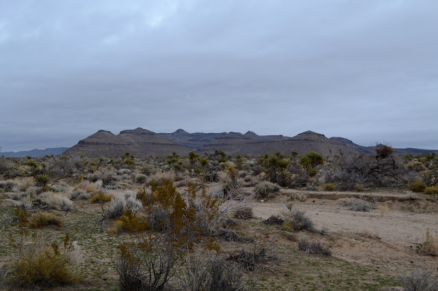 Woods Mountains