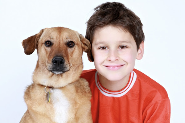 Unlocking Harmony: 8 Ways to Ensure Children's Safety Around Dogs