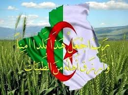 Anniversary of the Revolution Algeria Wishes