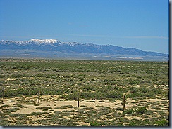 IMG_1951