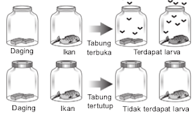 Teori-teori Asal Usul Kehidupan dan Pembuktiannya