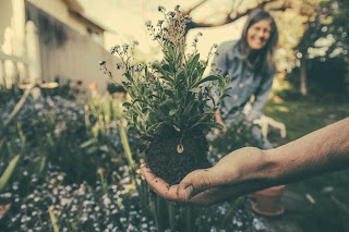 Manfaat Berkebun