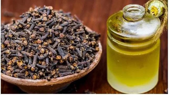 The benefits of cloves for hair, the benefits of cloves for falling hair, the benefits of cloves for dry and falling hair, the benefits of cloves for hair with shampoo, the benefits of cloves for dry hair, the benefits of cloves for hair and how to use them, recipes for dry, split and falling hair, the benefits of cloves for white hair, the benefits of cloves for thin hair, the benefits of cloves For hair with olive oil, benefits of cloves, benefits of ground cloves, cloves for hair, benefits of cloves for white hair, benefits of dates for dry and brittle hair, benefits of cloves for hair in shampoo, hair loss treatment