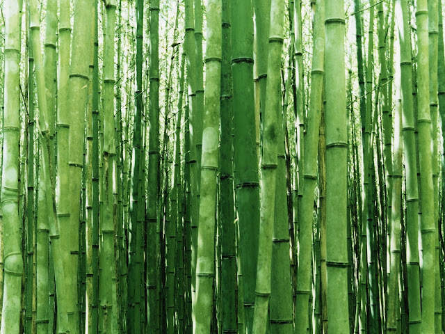 Bamboo Vinegar3