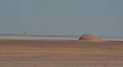 Espejismo en el desierto