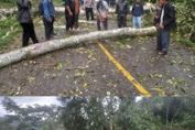 LINTASAN badan jalan belang ke jeren kota cane