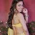 AKSHA PARDASANY HOT IN YELLOW SAREE IMAGES 