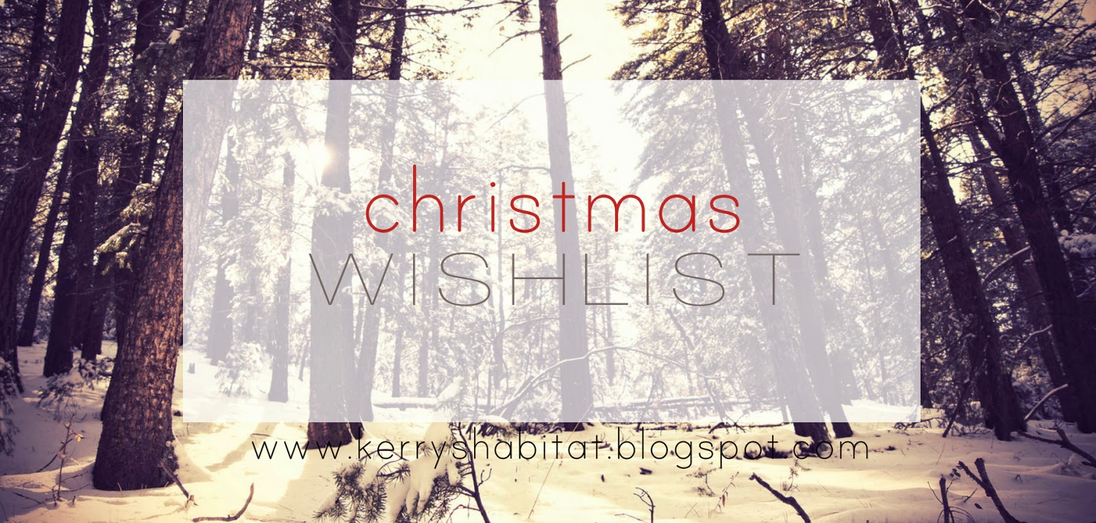 http://kerryshabitat.blogspot.co.uk/2013/11/christmas-wish-list-ultimaterealistic.html