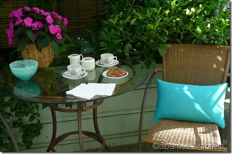 Patio 2011 027