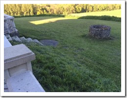 gras gemaaid